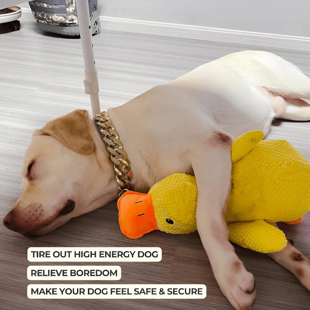 Calming Duck Toy by Wowpetsmart